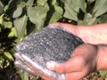 Графит ГЛ-1 меш.30кг.