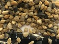 Гравий для фильтров фр.7,0-4,0 мм. меш.50 кг.